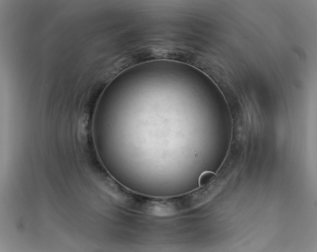 X0000111600275200907161559