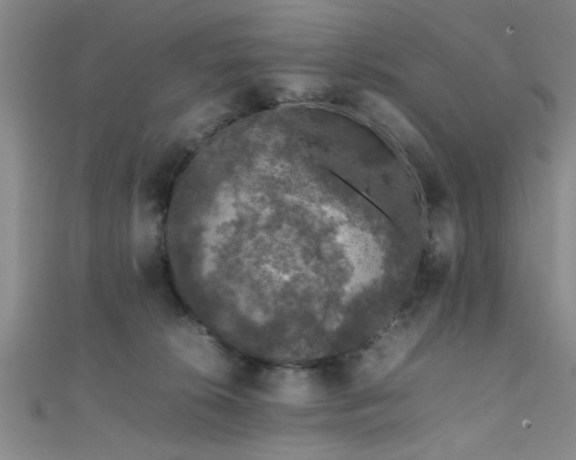 X0000111600276200907161559