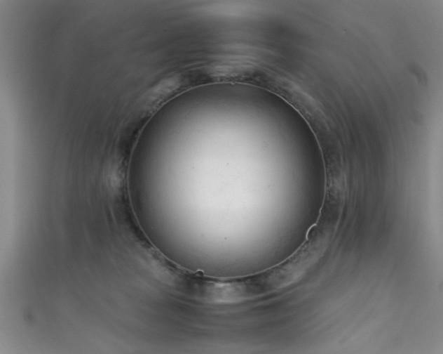 X0000111600277200907161559