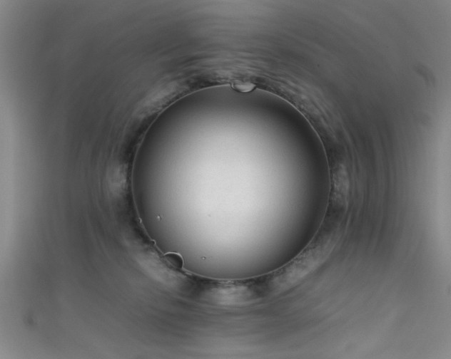 X0000111600278200907161559