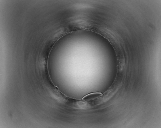 X0000111600279200907161559