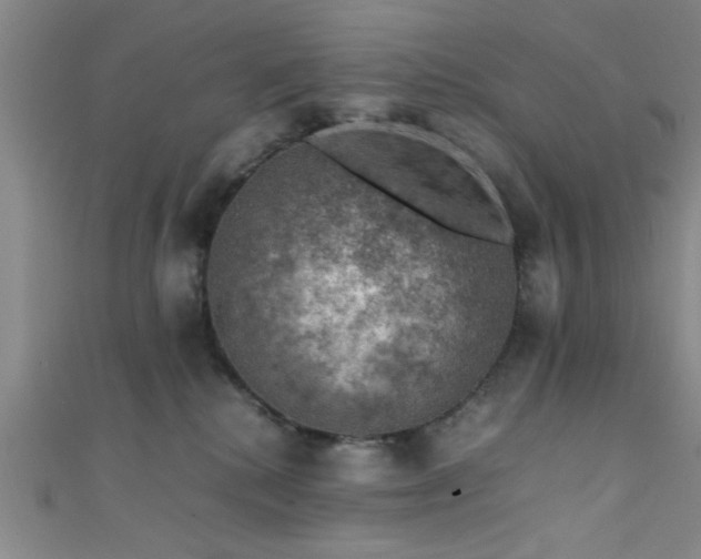 X0000111600280200907161559