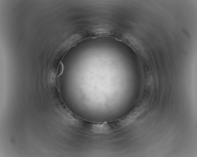 X0000111600281200907161559