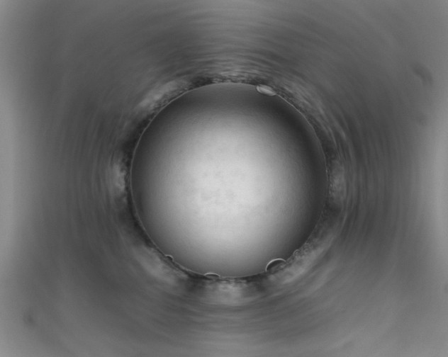 X0000111600282200907161559