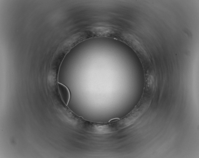 X0000111600283200907161559
