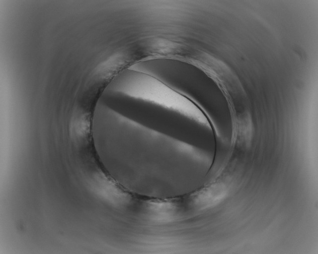 X0000111600284200907161559