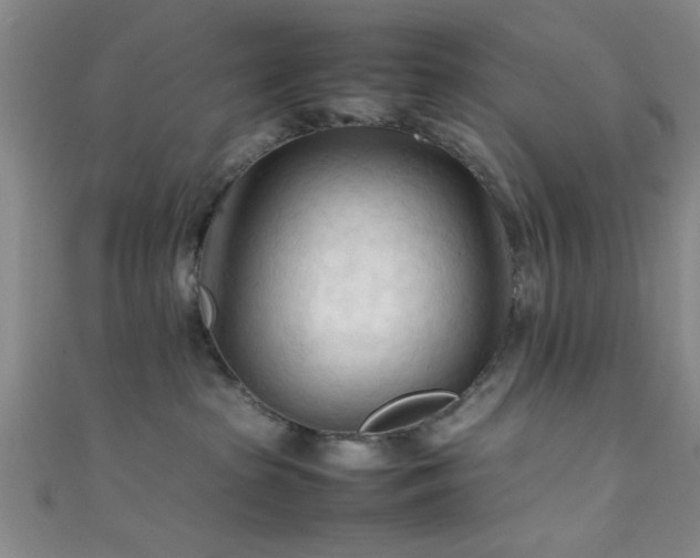 X0000111600285200907161559