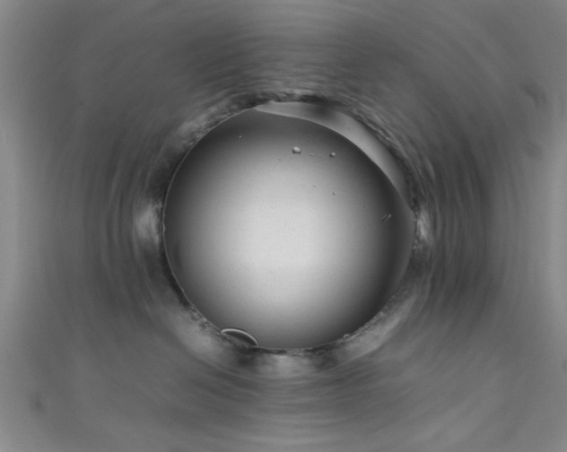X0000111600286200907161559