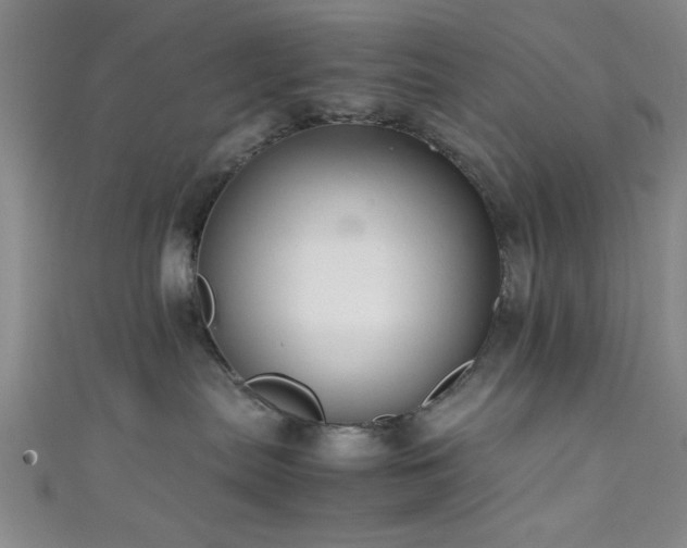 X0000111600287200907161559