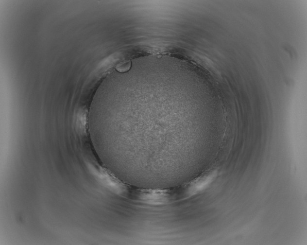 X0000111600288200907161559