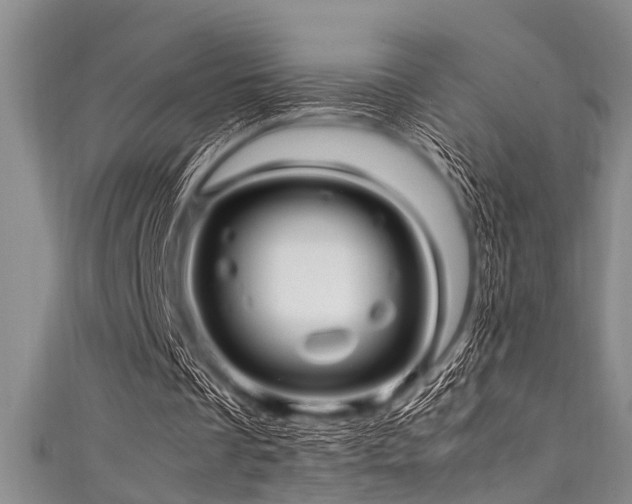 X0000111600289200907161558