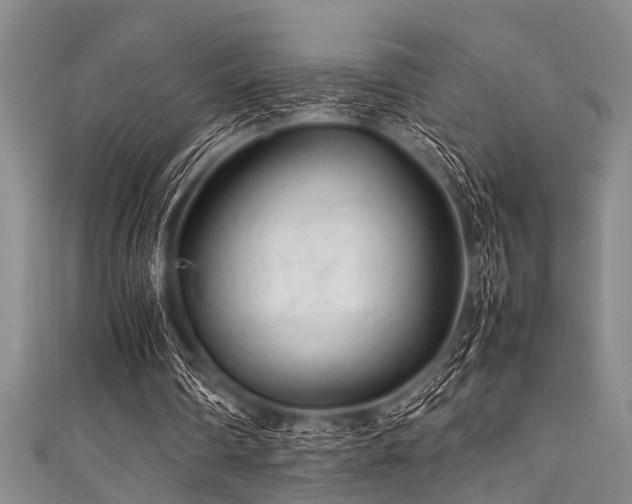 X0000111600290200907161558