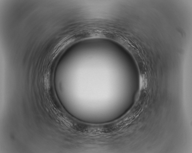 X0000111600291200907161558