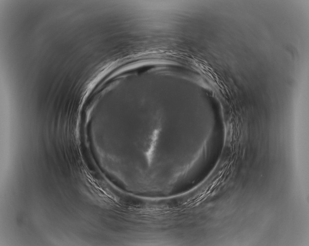 X0000111600292200907161558