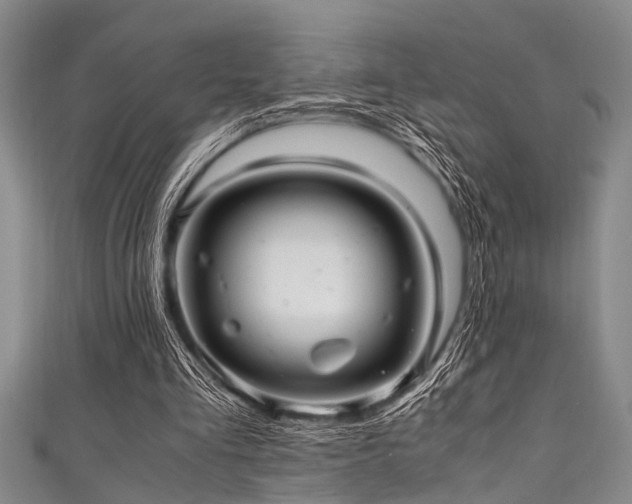 X0000111600293200907161558