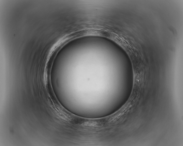 X0000111600294200907161558