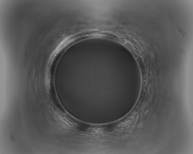 X0000111600295200907161558