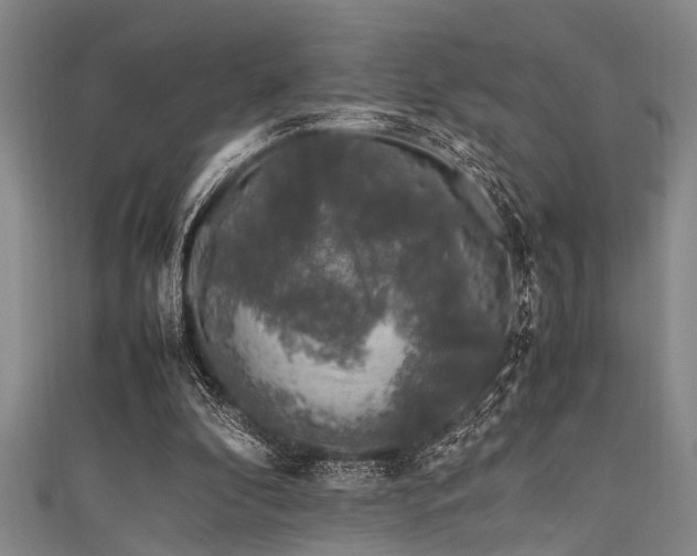 X0000111600296200907161558
