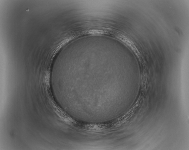 X0000111600297200907161558