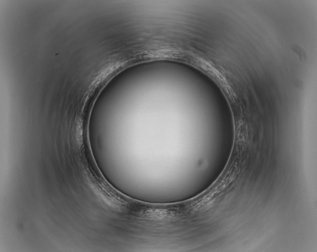 X0000111600298200907161558
