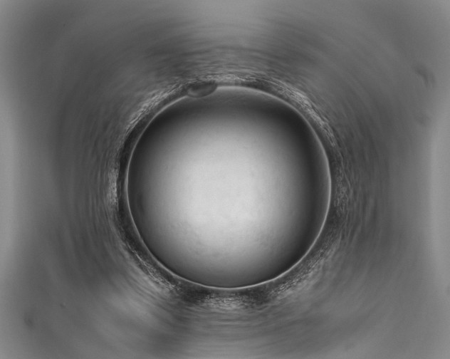 X0000111600299200907161558