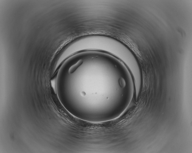 X0000111600300200907161558
