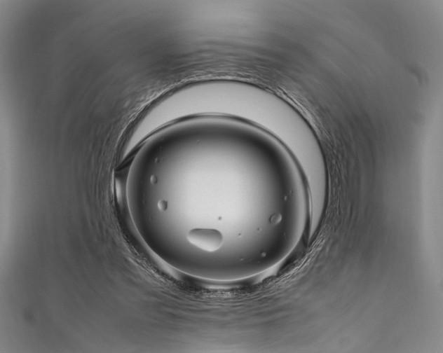 X0000111600301200907161558
