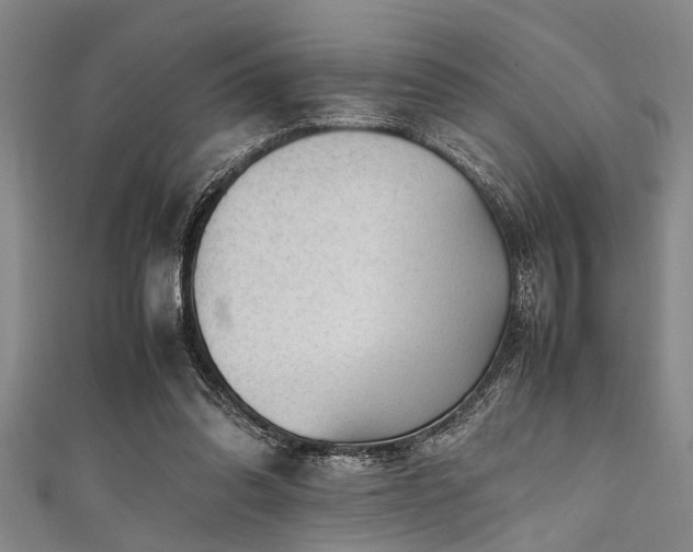 X0000111600302200907161558