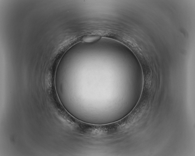 X0000111600303200907161558