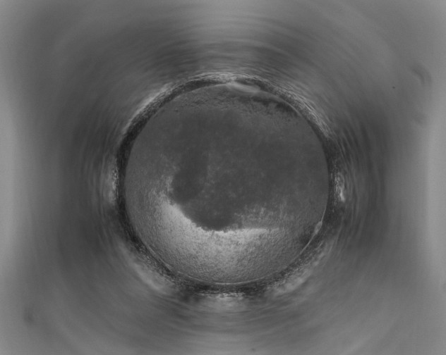 X0000111600304200907161558