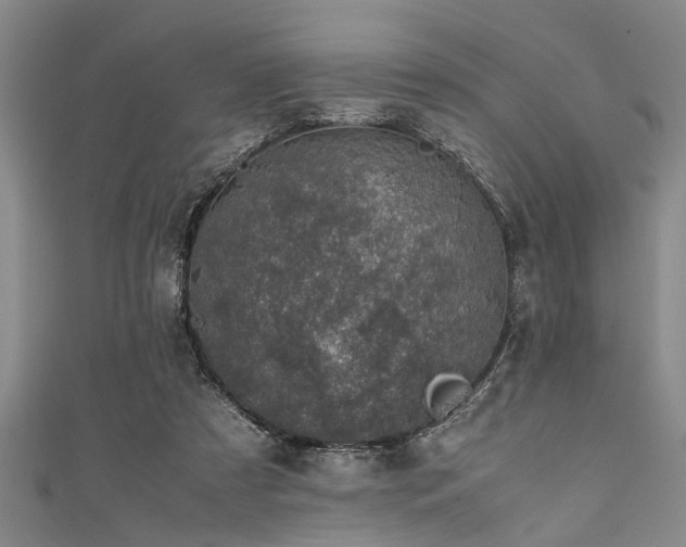 X0000111600305200907161558
