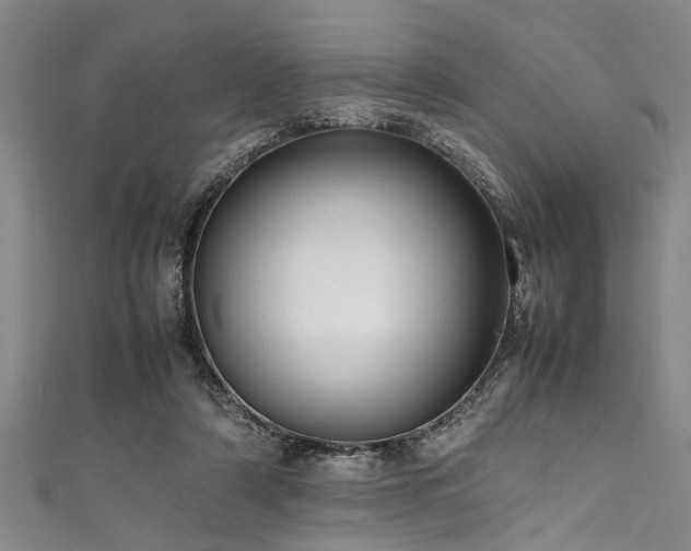 X0000111600306200907161558