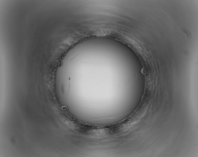 X0000111600307200907161558