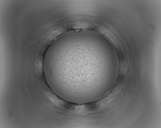 X0000111600309200907161558