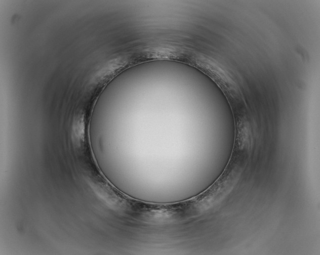 X0000111600310200907161558