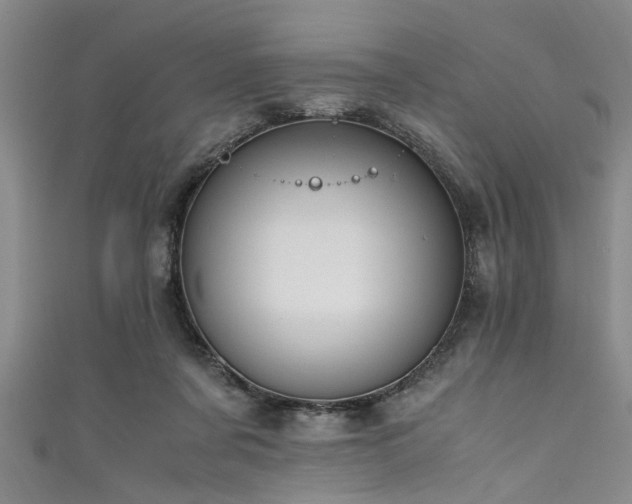 X0000111600311200907161558