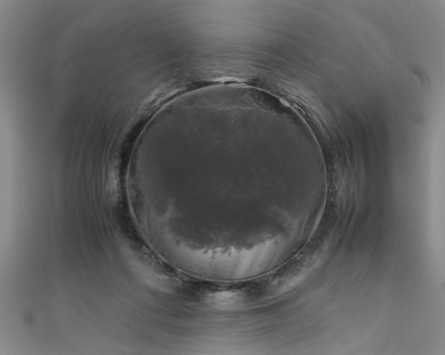 X0000111600312200907161558
