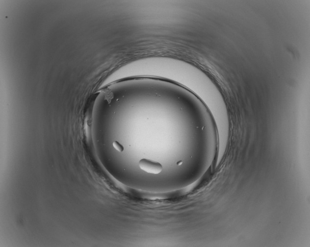 X0000111600313200907161558