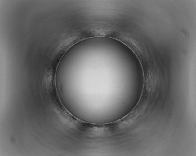 X0000111600314200907161558