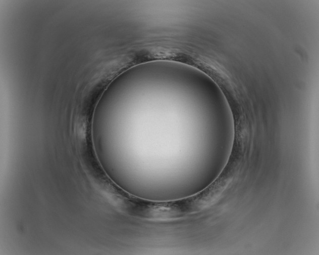 X0000111600315200907161558
