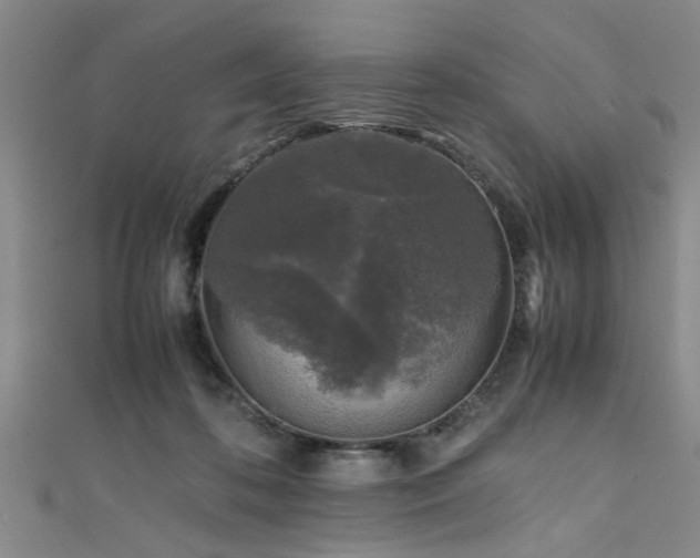 X0000111600316200907161558