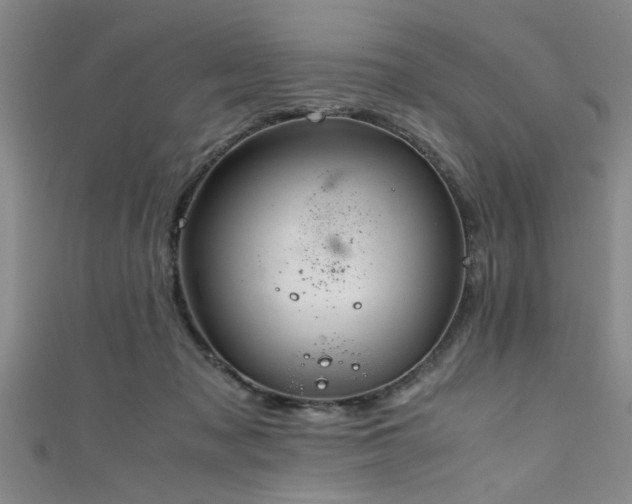 X0000111600317200907161558
