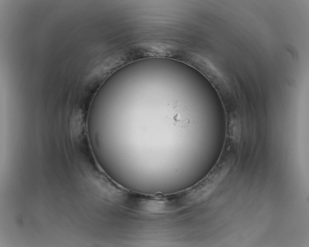 X0000111600318200907161558