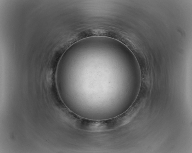 X0000111600319200907161558