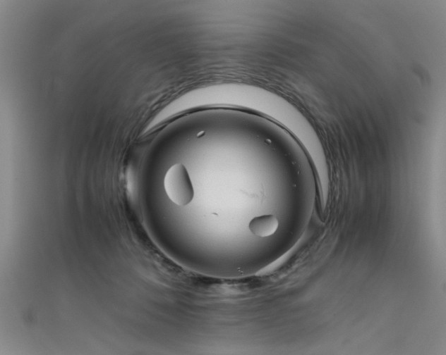 X0000111600320200907161558
