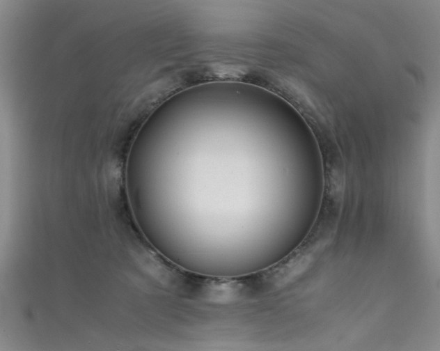 X0000111600321200907161558
