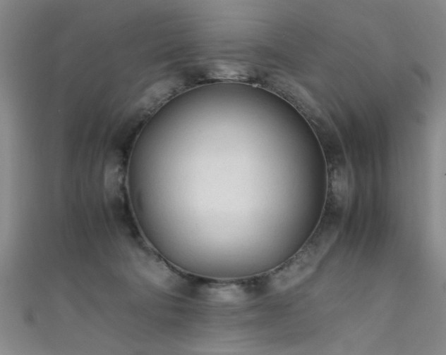X0000111600322200907161558