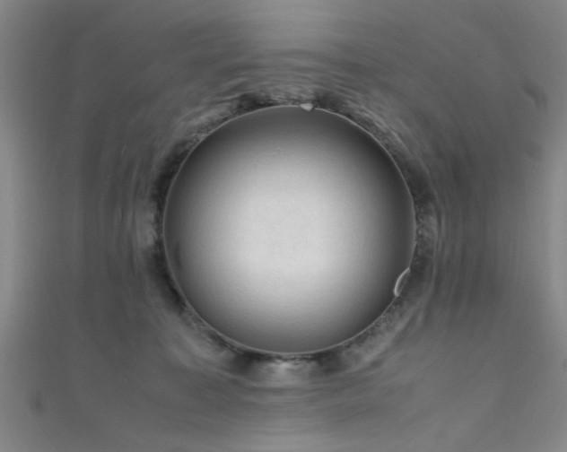 X0000111600323200907161558
