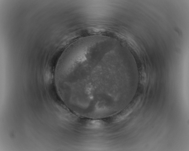X0000111600324200907161558