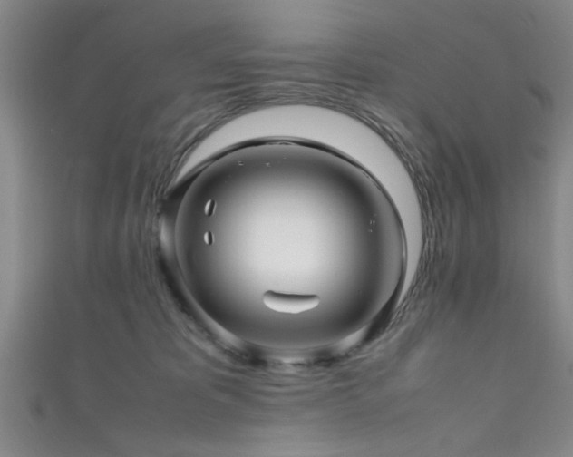 X0000111600325200907161558